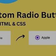 How To Create Custom Radio Button With HTML And CSS Tutorial