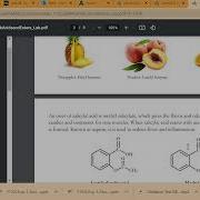 Lab 4 Walkthrough