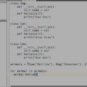 Polymorphism In Python