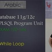 19 125 Oracle PLSQL While Loop
