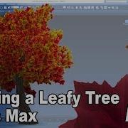 Creating A Leafy Tree In 3ds Max Part 1