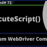 ExecuteScript Command Selenium WebDriver