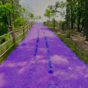 Road Segmentation Mountain