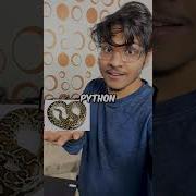 I LEARNED CODING IN A DAY Shorts