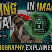 Steganography In Kali Linux How TO Hide Data In An Image Steghide Tutorial Ur Analyst