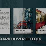 CSS Card Hover Effects Html CSS