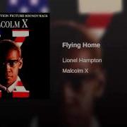 Flying Home
