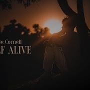 Jake Cornell Half Alive Official Lyric Video