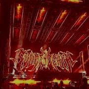 Svdden Death Full Set Forbidden Kingdom 2025