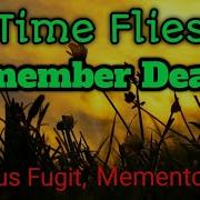 Time Flies Remember Death