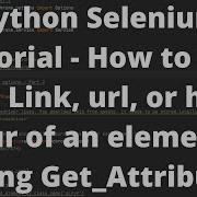 Python Selenium Tutorial 10 How To Get The Link Url Or Href Of An Element Using Get Attribute