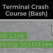 Networking On The Command Line Netstat Ping Dig Strace