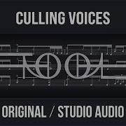 Tool Culling Voices Original Audio Dark Theme Drum Sheet Music