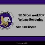 Volume Rendering 3D Slicer Workflow