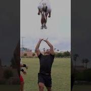 Stunting Shorts Cheer