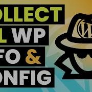 Access All Information In WordPress Quickly Easy Debugging In WordPress