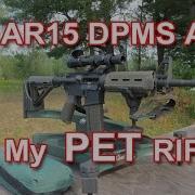 AR15 DPMS AP4 My Pet Rifle