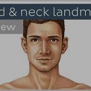 Surface Anatomy Landmarks Of The Head And Neck Preview Human Anatomy Kenhub