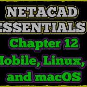 NETACAD IT Essentials 7 0 Chapter 12 Mobile Linux And MacOS Operating Systems