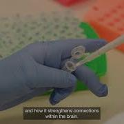 Testimonial For Custom Designed TaqMan Array Cards For Research