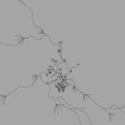 L System Plant Growth