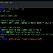 Clean Up Your Cache On Arch Linux
