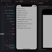 Simple JSON Data Parsing In SwiftUI IOS