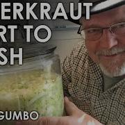 Sauerkraut Ferment From Start To Finish Black Gumbo