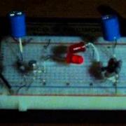 Fireflies Synchronization Demonstration