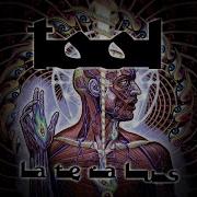 Lateralus TOOL Drop C Tuning