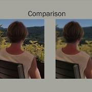 Portrait Mode Using Laplacian Gaussian Pyramids And Masking Technique
