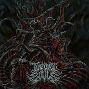 TORTURED SOULS BOUNDLESS GORE FT BODYSLAMHXC SCXM MADMACCY FUNERAL MASSACRE