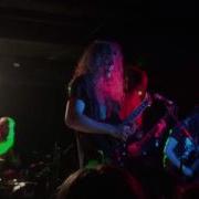 Vektor Psychotropia Live