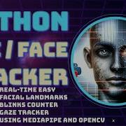 Real Time Eye Face Tracking With Python Iris Blink Facial Landmarks MediaPipe OpenCV