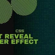 HTML CSS Awesome Text Reveal On Image Hover Effect