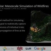 Fire In Paradise Mesoscale Simulation Of Wildfires SIGGRAPH 2021 Overview
