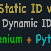 Static Vs Dynamic Ids And Selenium Exception To Fix Bug Or Errors