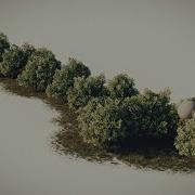 Dynamic Trees Houdini Tutorial Trailer