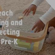 Using Cute Animals To Help Teach Kids Sorting And Collecting Family Math PBS SoCal
