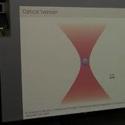 Manuel Endres Quantum Science With Tweezer Arrays