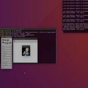 Interactive Image Segmentation Using Max Flow