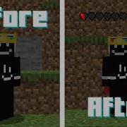 The Health Indicators Mod