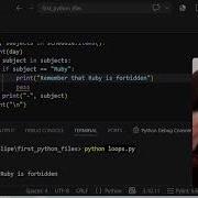 Loop Control Keywords In Python Felipe Matos