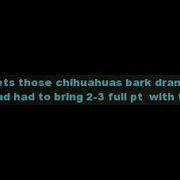 Cabal Online NA Imphy I Heard SlayDogs Been Loud Lately Ledog Cant Do Sh1t Even With His FA Pets
