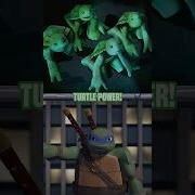 Teenage Mutant Ninja Turtles Theme Song PHONETIC Remix