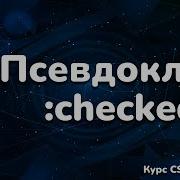 Псевдо класс Checked в CSS Pseudo Class Checked In CSS Full CSS Course From A To Z