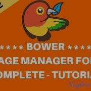 Understand Managing Web Packages With BOWER Beginner Tutorial