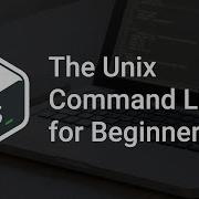 Bash For Beginners The Command History