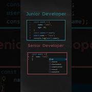 Junior Developer Vs Senior Developer Programming Coding Html Css Javascript Dsa Webdeveloper