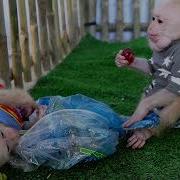 Incredible Poly Bite New Member Until Joy Sleep On The Ground What Wrong With Ploy